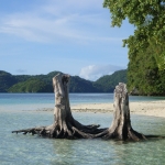 Palau 2008 (a)